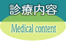 診療内容 Medical content